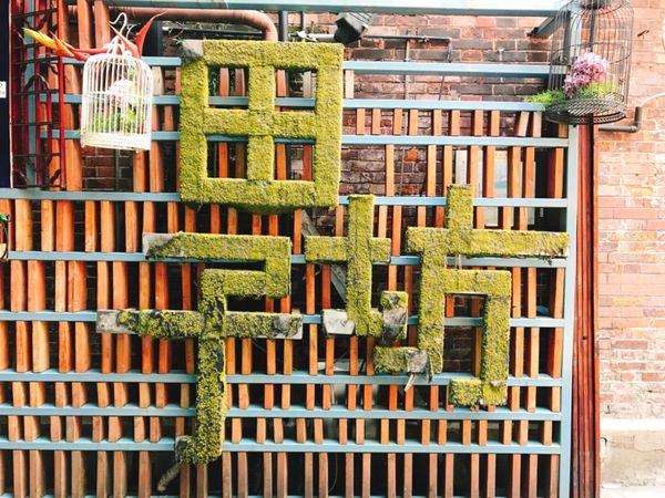 中国・上海「上海女子旅」の写真