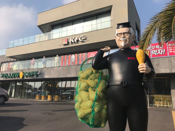 大韓民国 (韓国)・済州島「🇰🇷済州島菜の花旅」の写真：空港からは車で約1時間ほどの場所にある、...