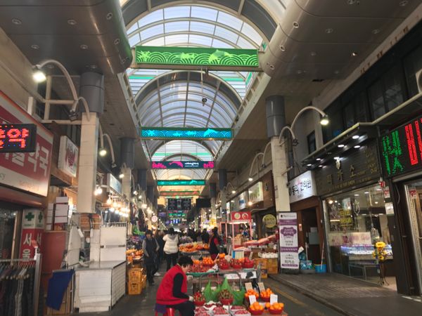 大韓民国 (韓国)・済州島「🇰🇷済州島菜の花旅」の写真：西帰浦最大の市場、西帰浦メイルオルレ市場...