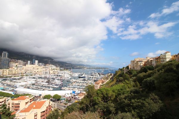 モナコ・モナコ「モナコ🇲🇨」の写真