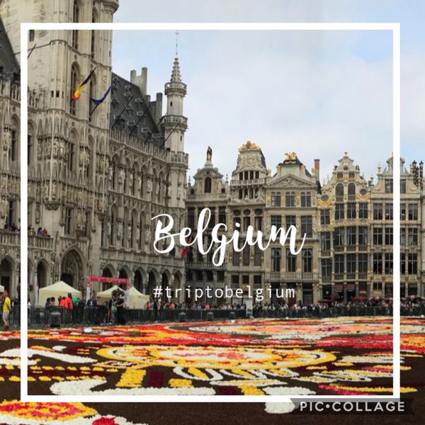 ベルギー・ブリュッセル「ベルギー旅行 フラワーカーペット2018」の写真