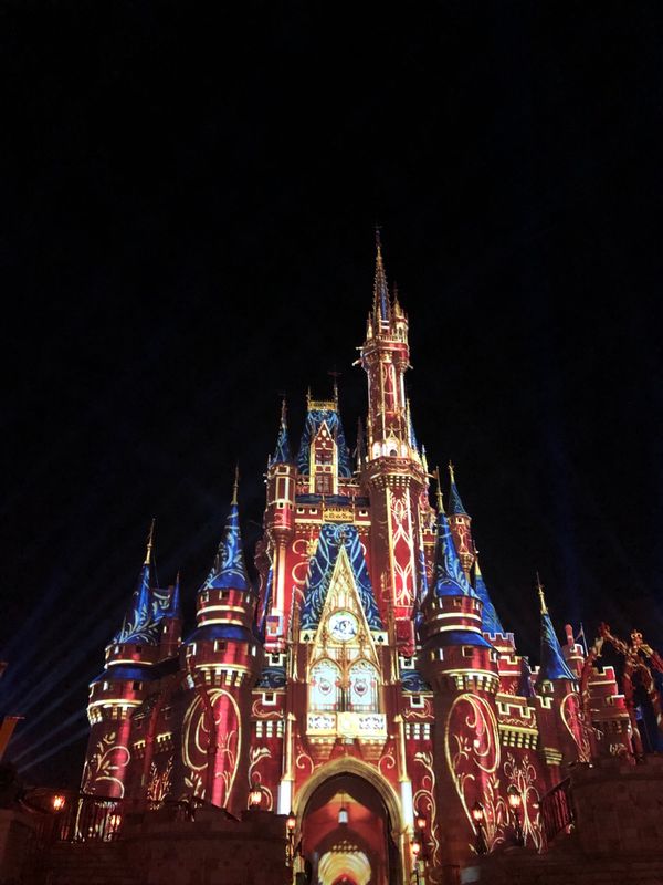 アメリカ(米国)・WDW「Disney Tour」の写真