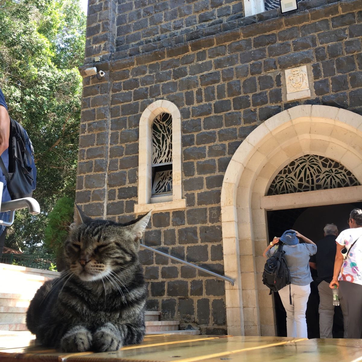 ガリラヤ湖畔教会群のひとつ
ペトロの首位権の教会にて