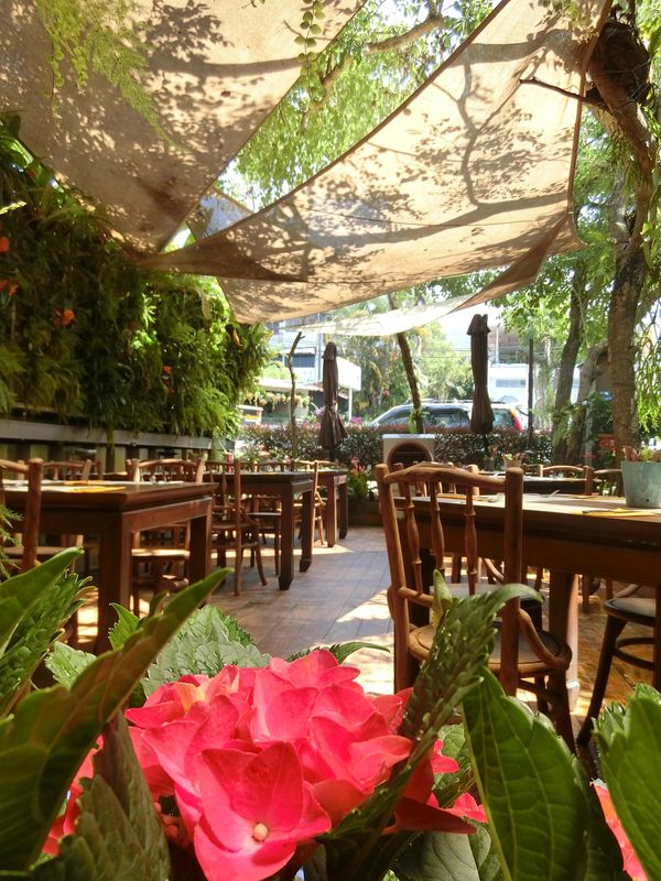 マレーシア・Georgetown penang「Penang Malaysia 」の写真：Garden Cafe @ferringhi