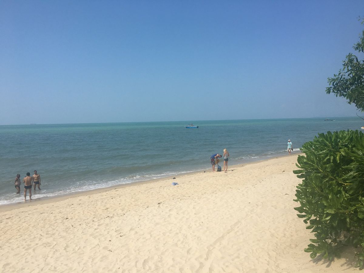 Starbucks by the ocean