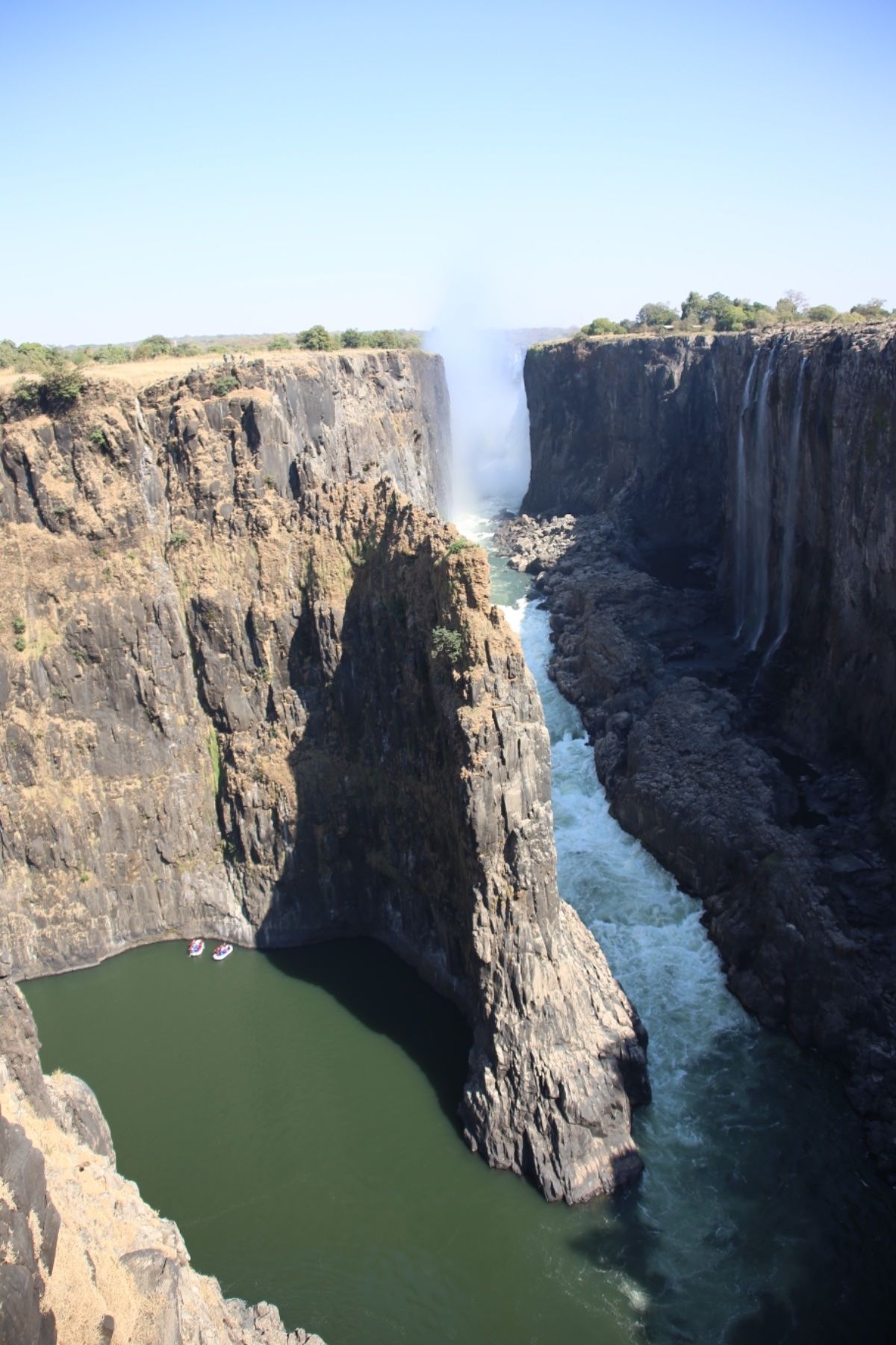 Animals!はくなまたーた😎