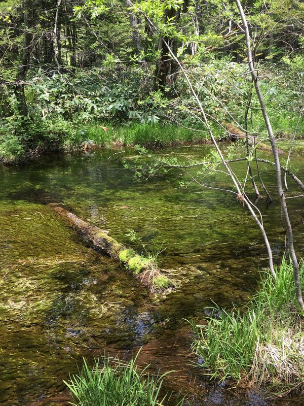 日本・上高地「長野、上高地」の写真