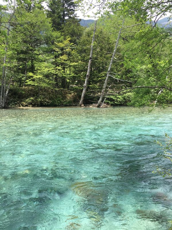 日本・上高地「長野、上高地」の写真