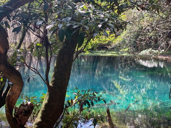 日本・酒田「山形」の写真：遊佐町 丸池様🙆‍♀️