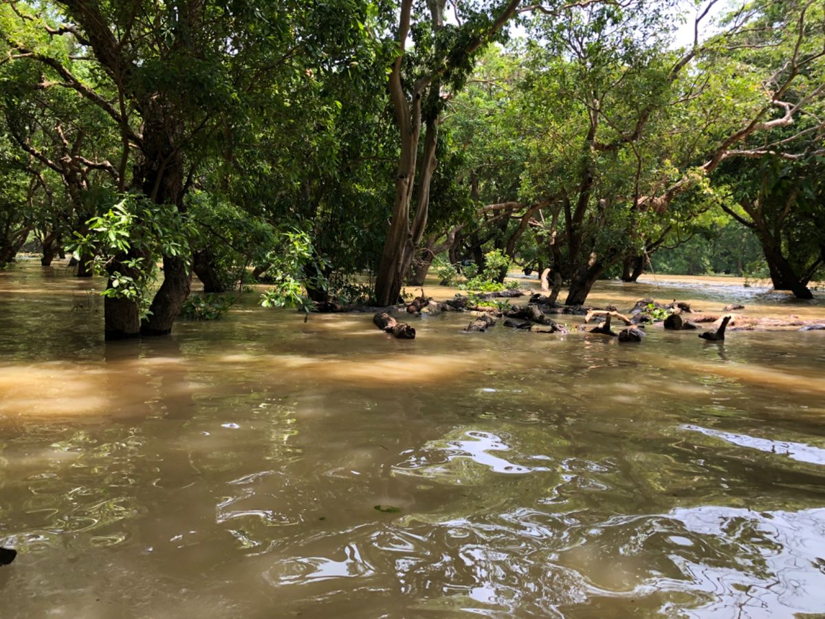 素晴らしい旅行でした！
シェムリアップ最高！