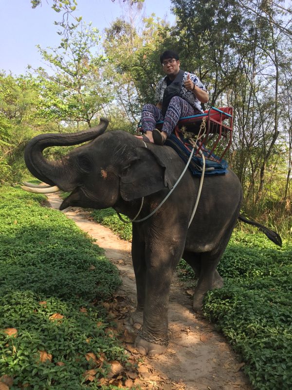タイ・バンコク「2018タイ🇹🇭　バンコクの旅」の写真：バンコク市内の観光