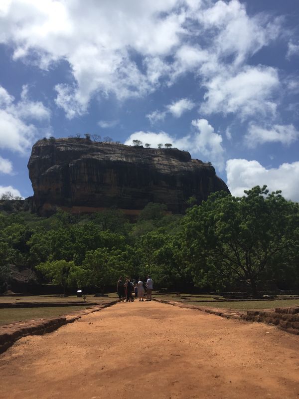 スリランカ・キャンディー「2017スリランカ🇱🇰　キャンディー&ヌワラエリアの旅」の写真：シギリヤロック