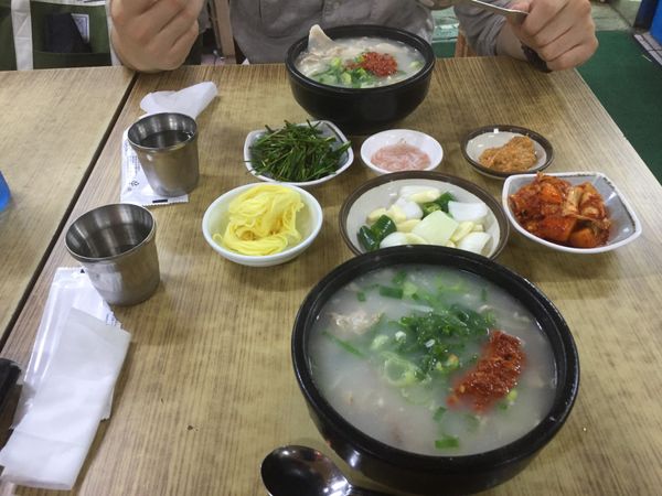 大韓民国 (韓国)・釜山「2016韓国🇰🇷 釜山の旅」の写真：釜山の観光