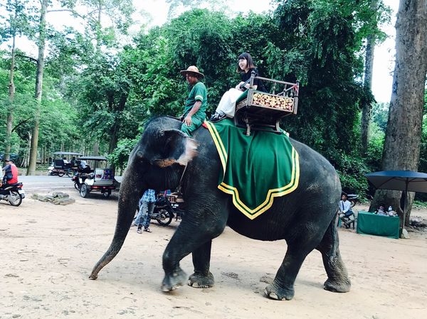 カンボジア・シェムリアップ「カンボジアひとり旅」の写真