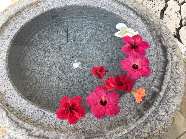 日本・石垣島「石垣島家族旅行」の写真