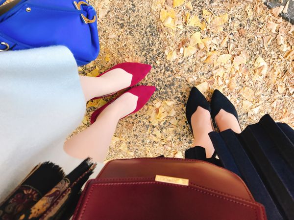 日本・東京「銀杏並木」の写真