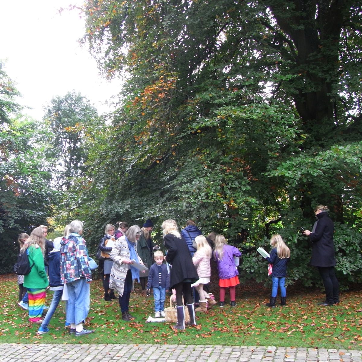 ルイジアナ美術館のお庭で子供たちのワークショップ？！やっていて、葉っぱや木...