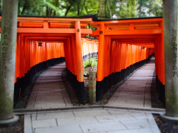日本・京都府「京都ひとり旅」の写真：2日目。伏見稲荷大社。
早起きして朝の7...