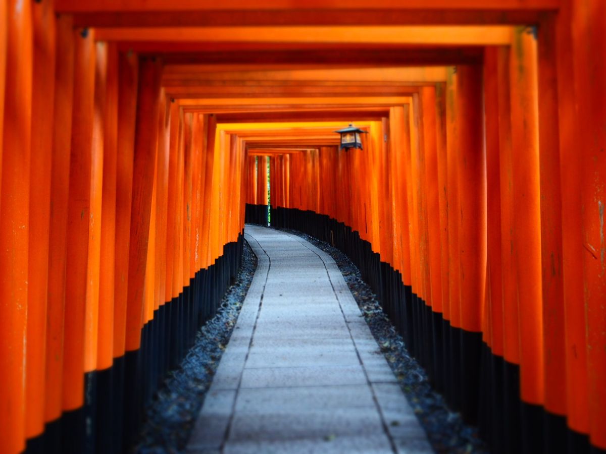 2日目。伏見稲荷大社。
早起きして朝の7時くらいに行ったらとっても綺麗でし...