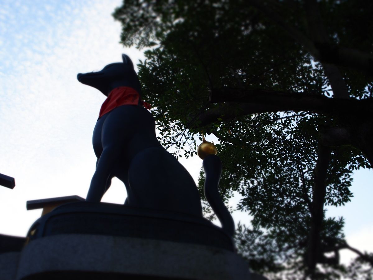 2日目。伏見稲荷大社。
早起きして朝の7時くらいに行ったらとっても綺麗でし...