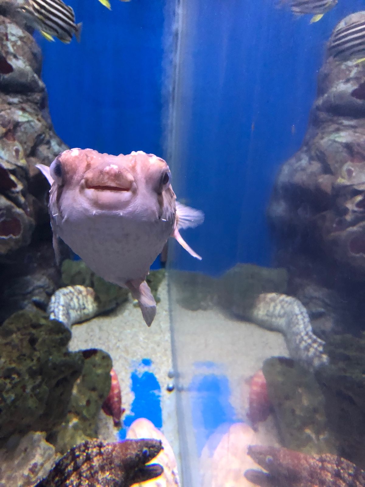 浅虫水族館と弘前市のカフェ