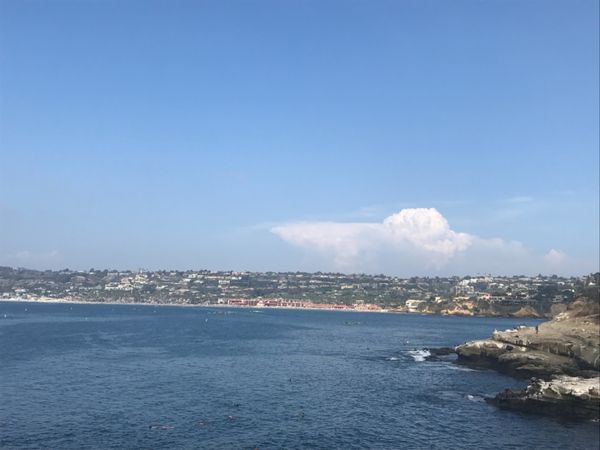 アメリカ(米国)・サンディエゴ「My Friend’s Wedding 」の写真：海