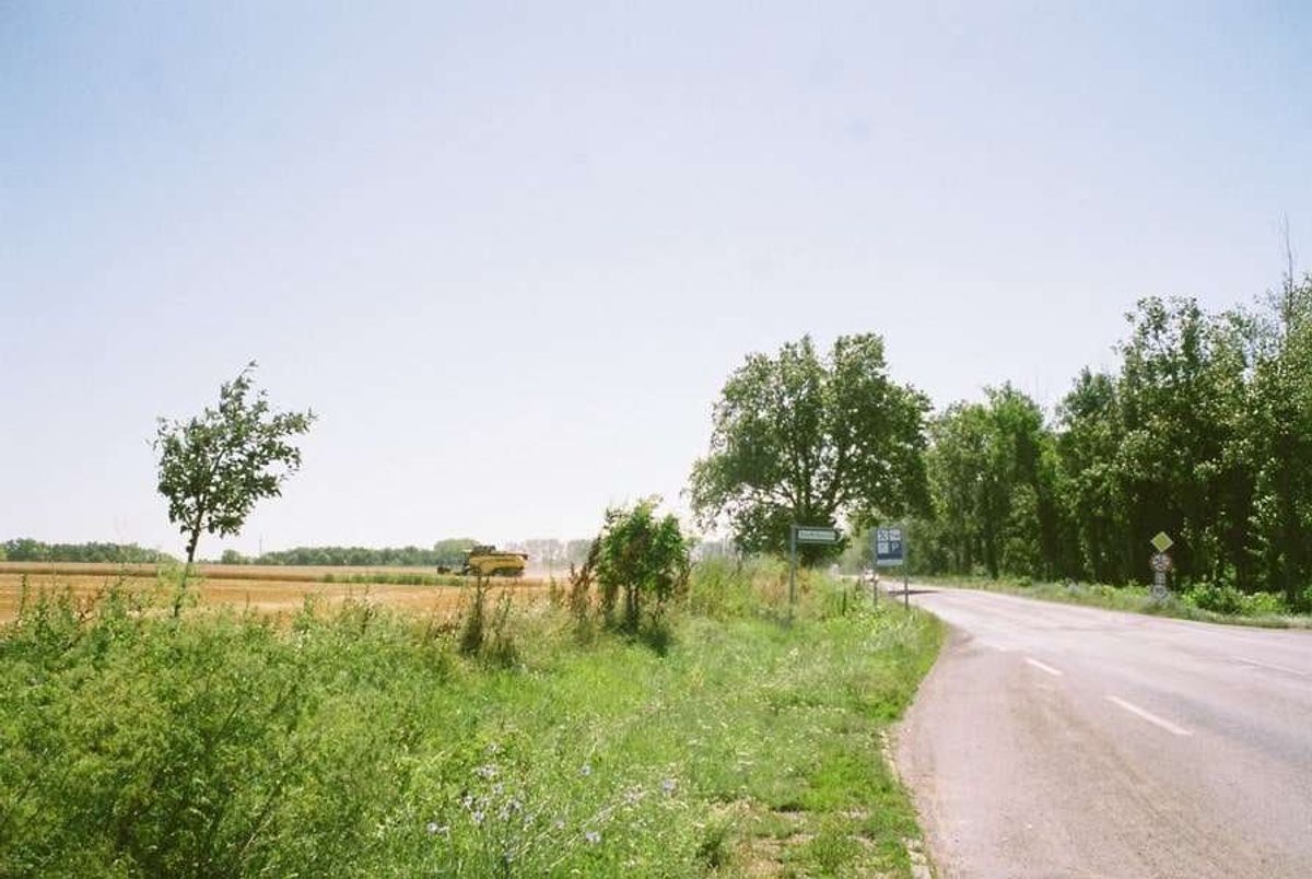 豊かな大地が広がります。