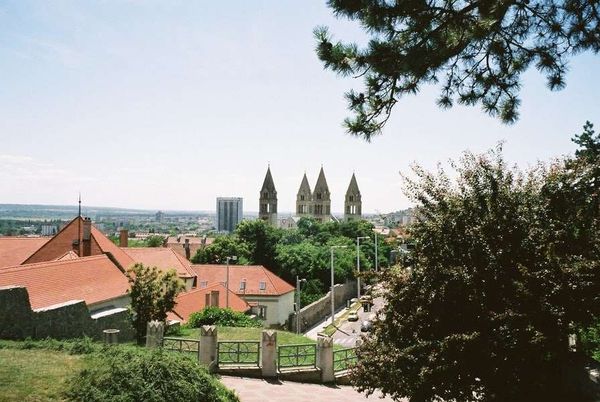 ハンガリー・ペーチ「2006年 ハンガリーの古都ペーチへクロアチアから日帰り旅行」の写真：丘から望む教会