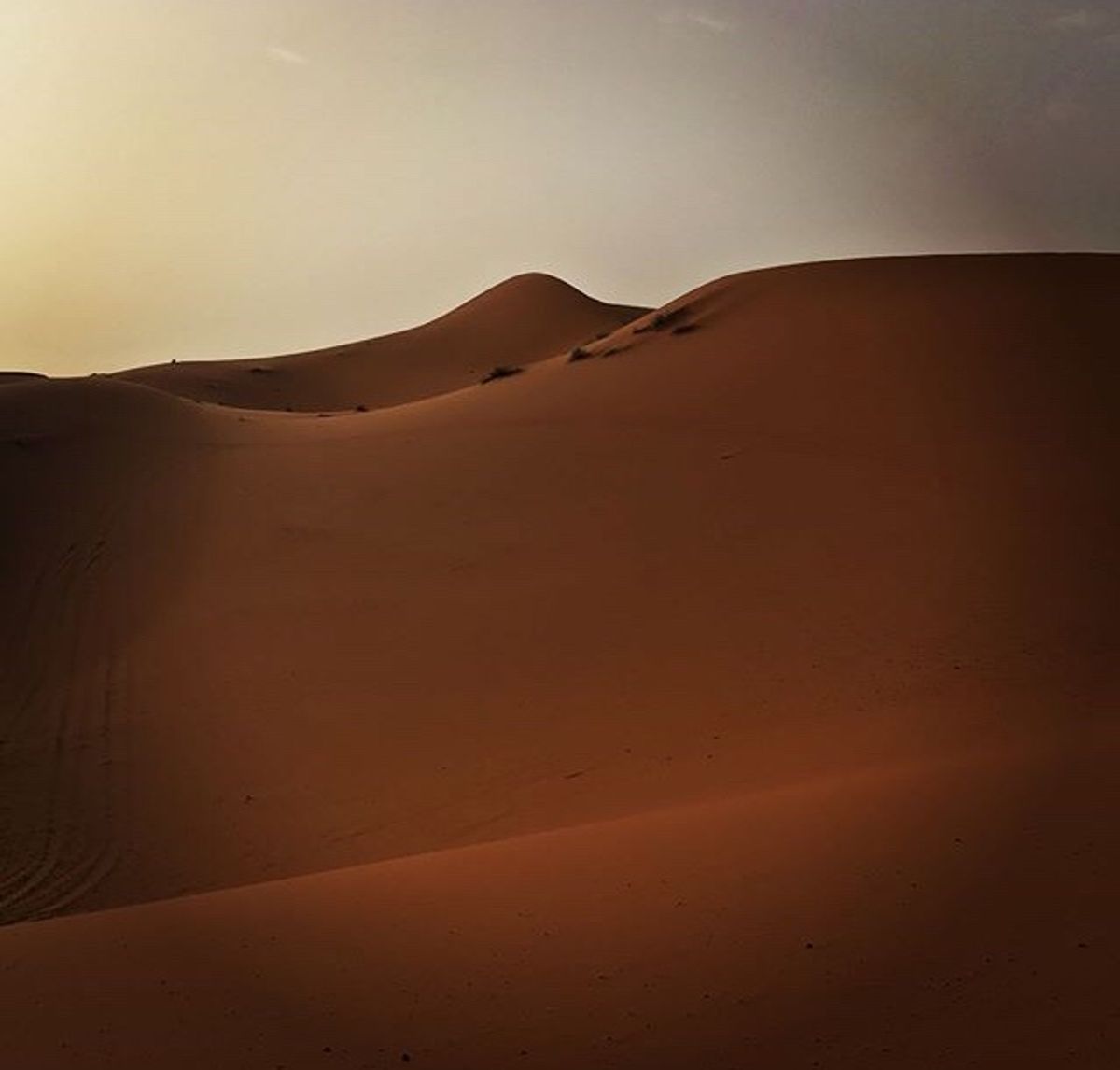 サハラ砂漠で一泊したときのやつ