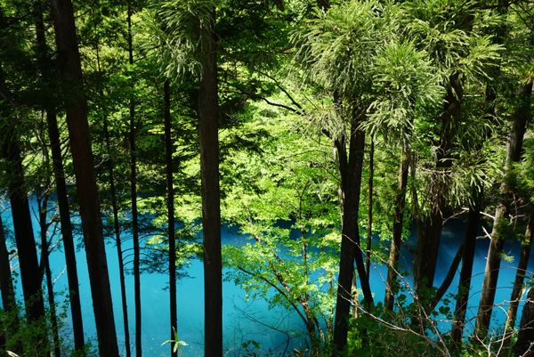 日本・奥四万湖・四万甌穴「群馬、四万」の写真