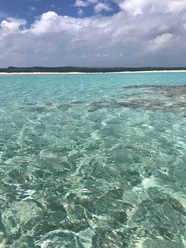 日本・鹿児島県与論島「ヨロン島」の写真：透明度の高い海に感動！
日本じゃないみた...