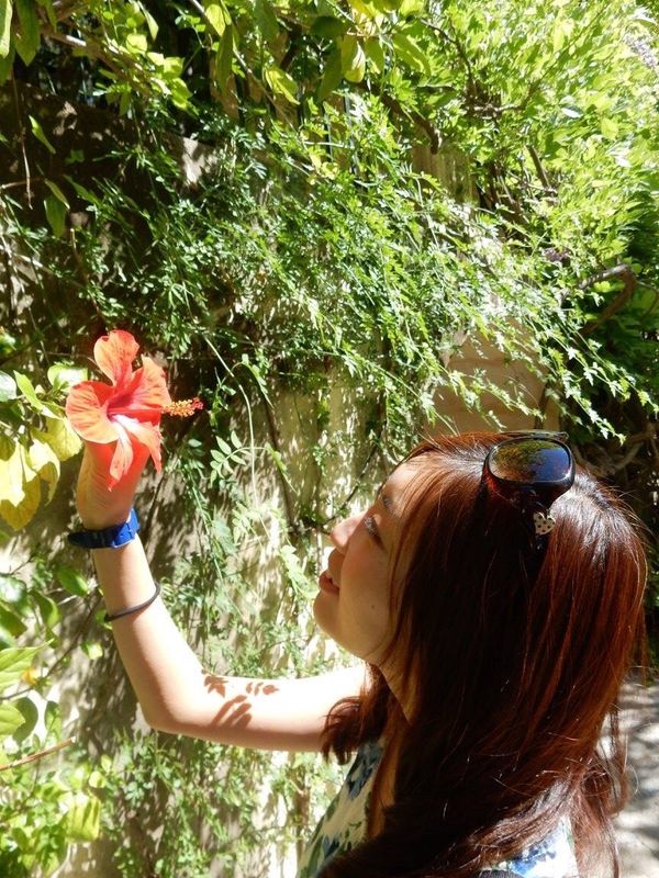 スペイン・マドリッド、グラナダ、セビージャ、ネルハ「スペイン」の写真