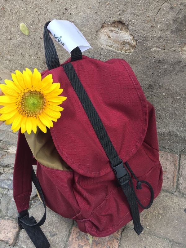 スペイン・マドリッド、グラナダ、セビージャ、ネルハ「スペイン」の写真