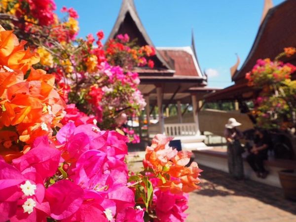 タイ・バンコク、アユタヤ「タイ(1回目)」の写真