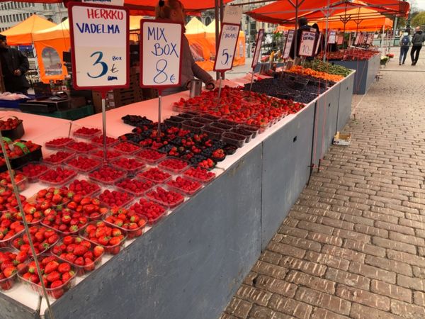 フィンランド・ヘルシンキ「フィンランド旅」の写真