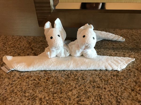 シンガポール・シンガポール「🇸🇬はじめてのシンガポール」の写真：
初めてなのでマリーナベイサンズ🏨
日本...