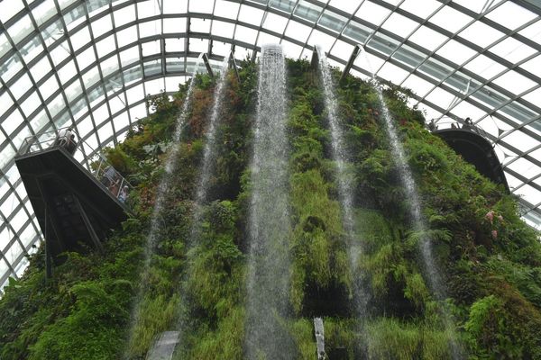 シンガポール・シンガポール「🇸🇬はじめてのシンガポール」の写真：ガーデンオブザバイ🍀

金正恩も魅了した...