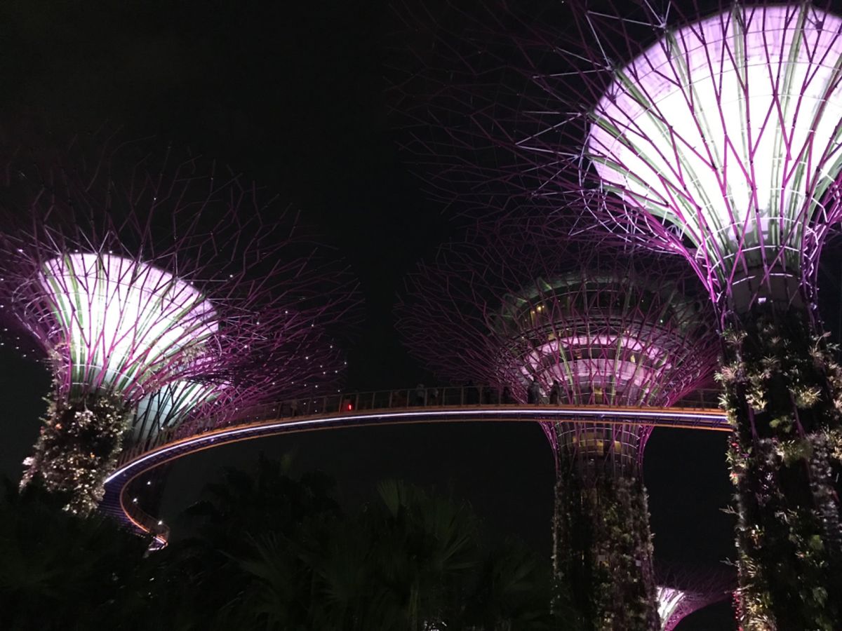 ガーデンオブザバイ🍀

金正恩も魅了した？！

ナイトショーは無料。これだ...