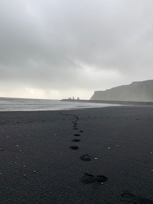 アイスランド・レイキャビーク「アイスランド  ひとり旅」の写真