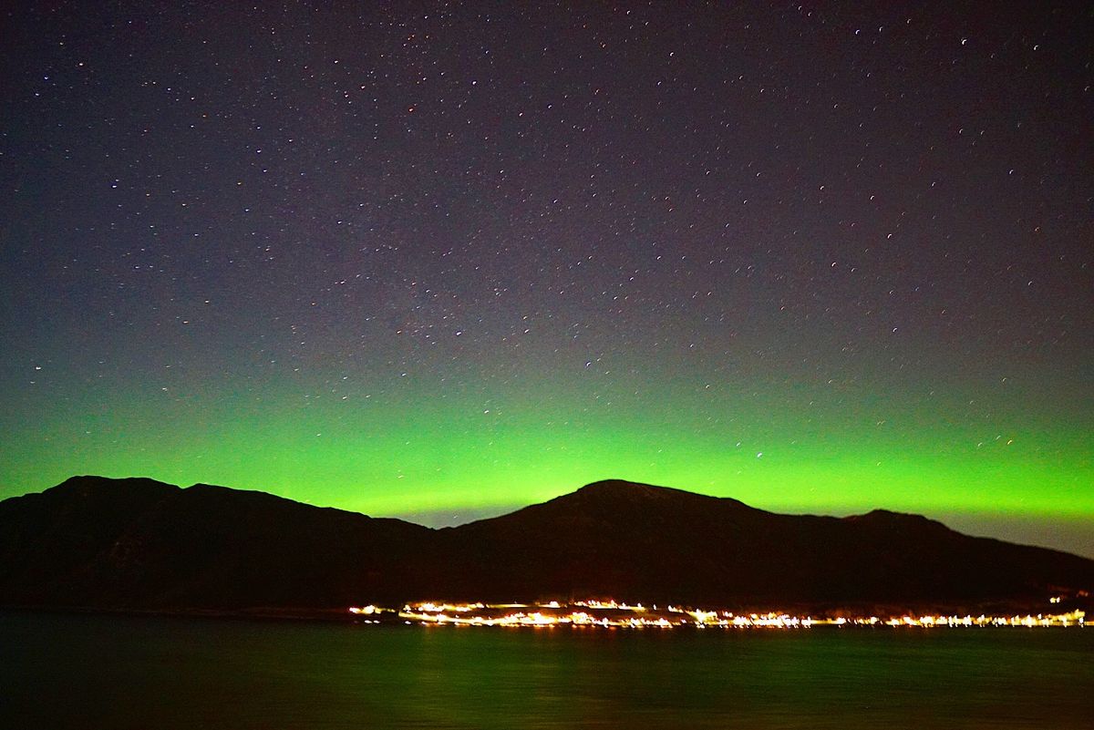船からのオーロラ
見つけた時は本当に嬉しくて
寒さも忘れて撮ってました
運...
