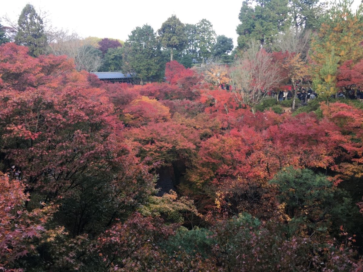 東福寺