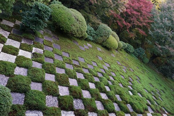 日本・東山、嵐山、etc「京都・紅葉を愛でる旅」の写真：東福寺