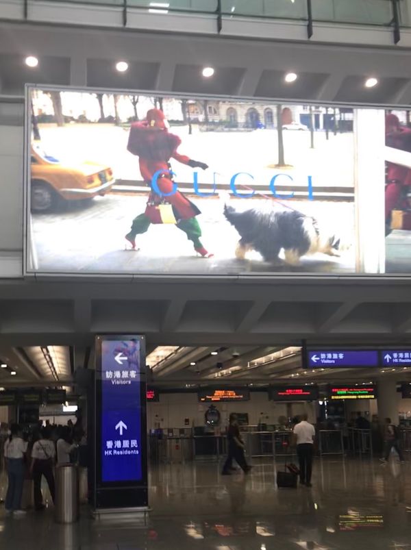 香港・モンコック 九龍「同期旅行　香港、マカオ」の写真