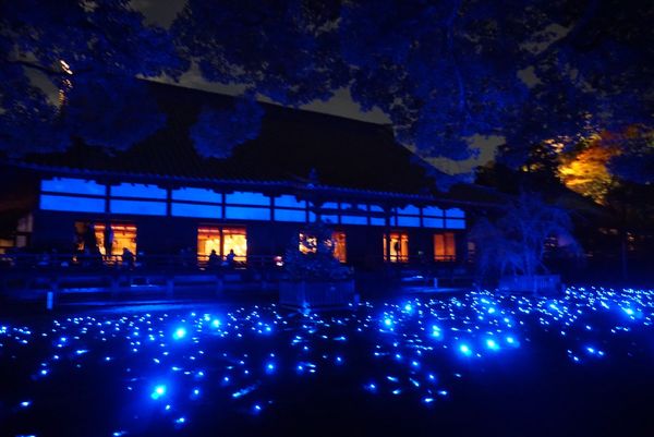 日本・東山、嵐山、etc「京都・紅葉を愛でる旅」の写真：青蓮院門跡