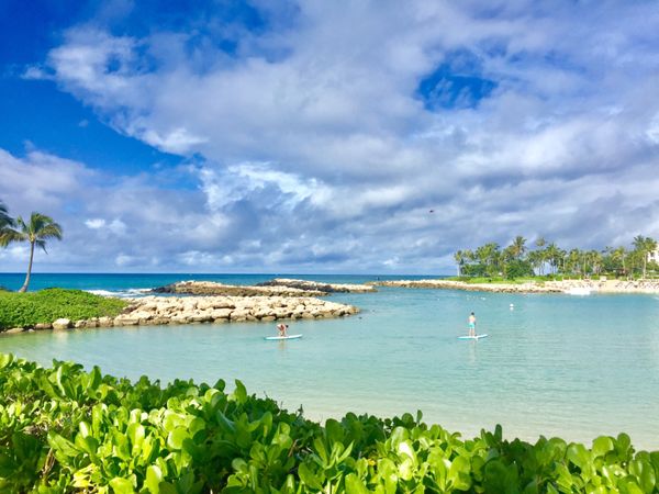 アメリカ(米国)「Hawaii」の写真