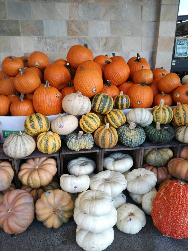 アメリカ(米国)「Hawaii」の写真