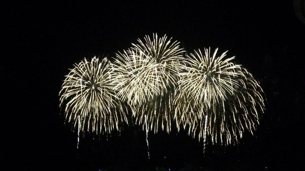 アメリカ(米国)・ハワイ「ハワイ」の写真