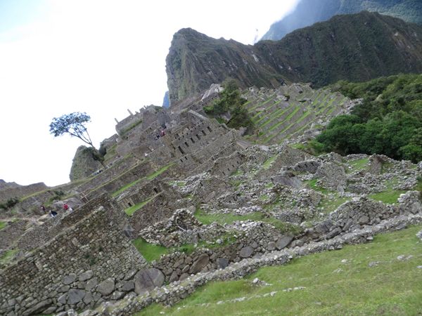 ペルー・マチュピチュ「ペルー」の写真