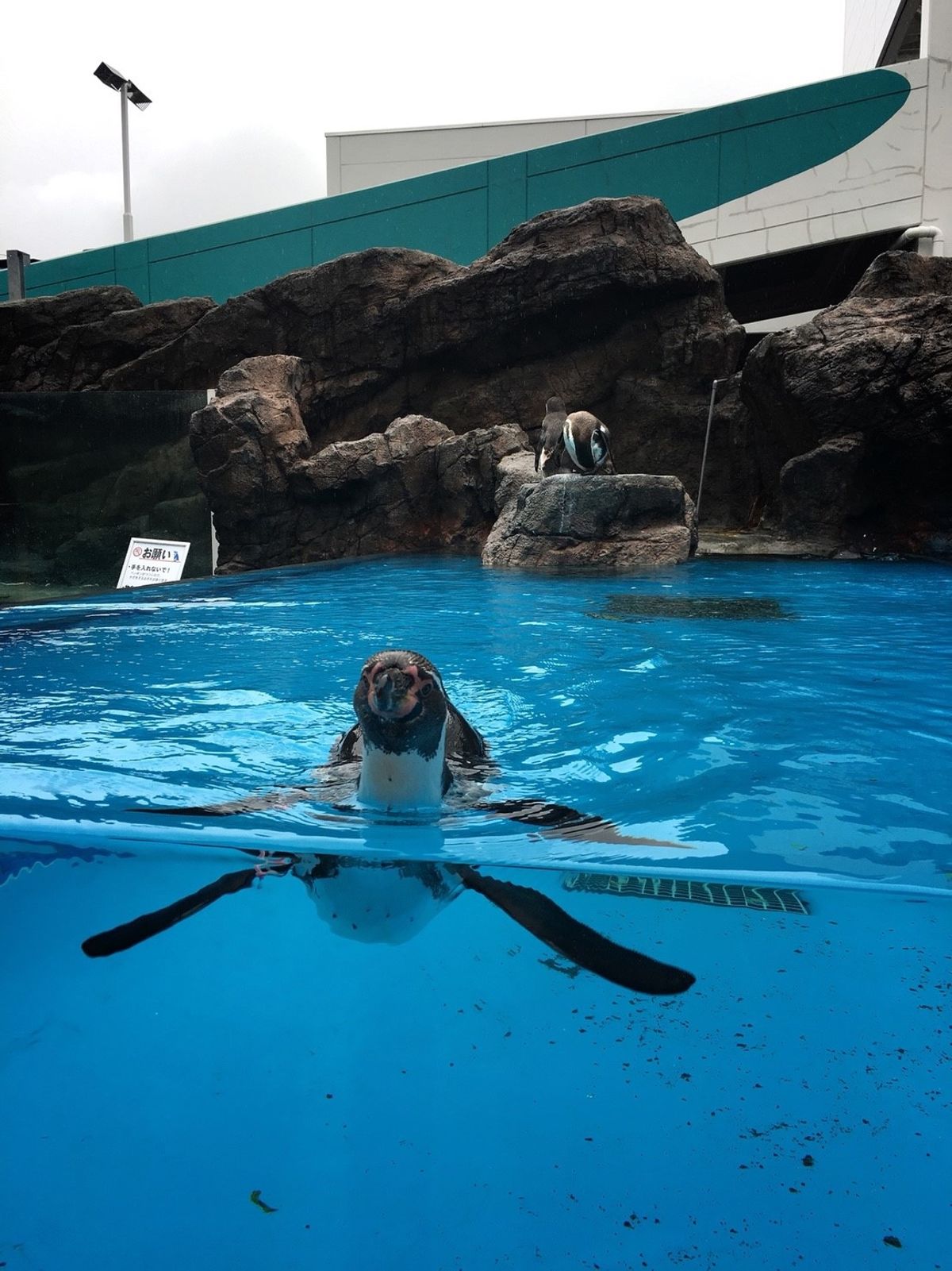 鳥羽水族館