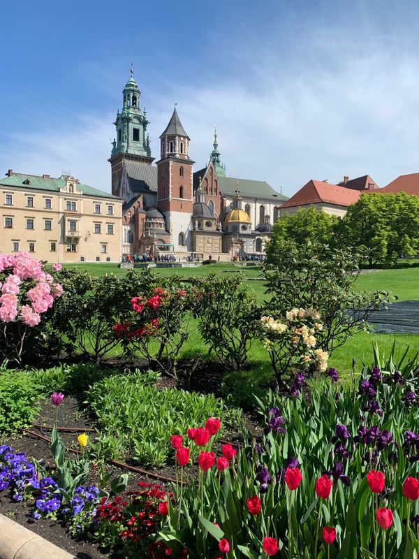 ポーランド・クラクフ 、アウシュビッツ、ヴィエリチカ、ワルシャワ 、アウグストフ「ポーランド🇵🇱」の写真